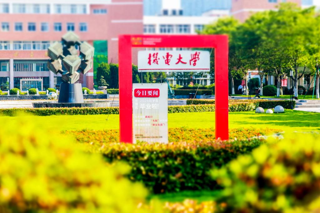 校william威廉亚洲使用方法领导