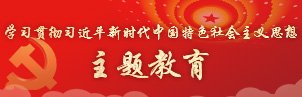 教师资料